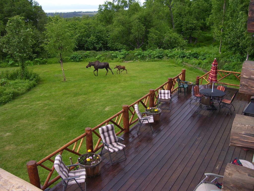 Juneberry Lodge Homer Extérieur photo